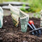 growing-money