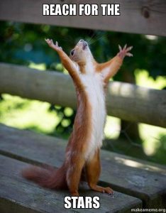 Squirrel reaching up