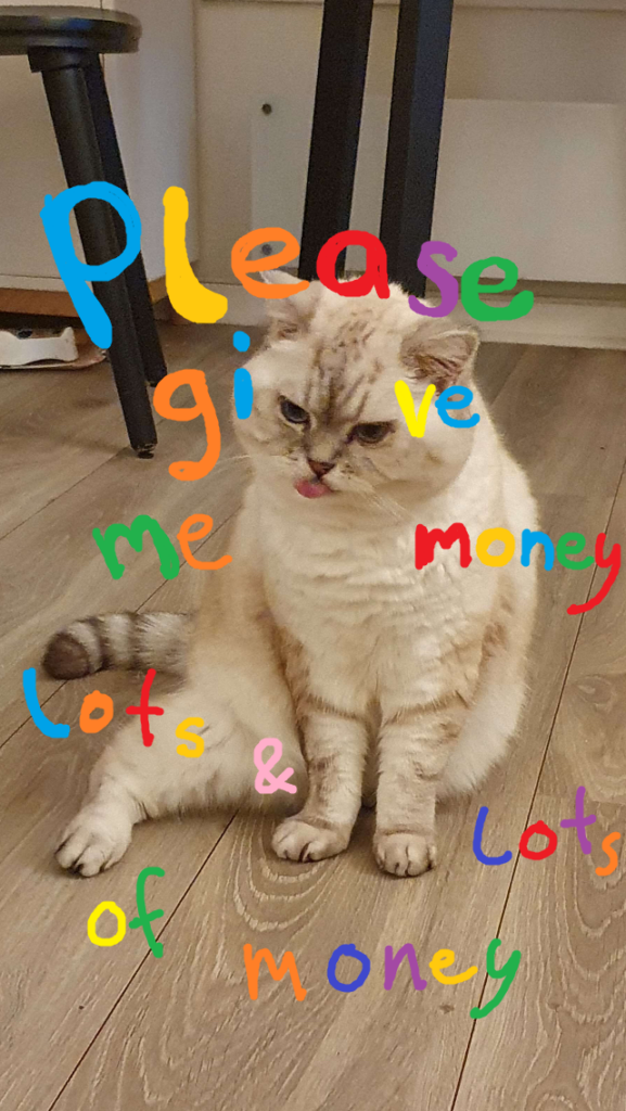 cat saying Please give me money