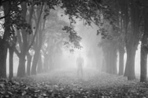 person standing in the mist on an obscure path
