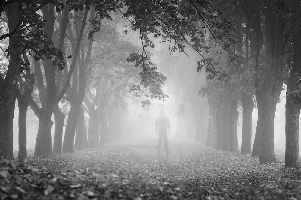 person standing in the mist on an obscure path